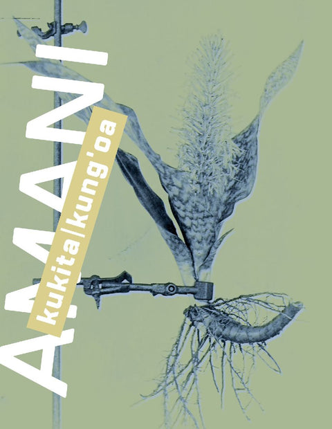 Amani