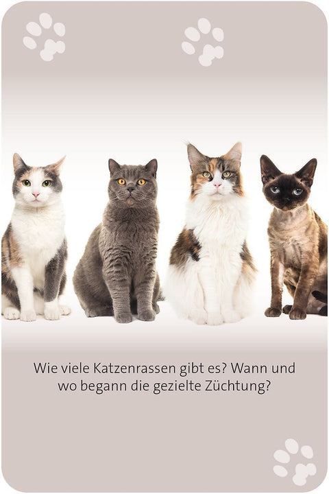 Das große Katzen Quiz