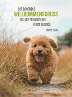 Hunde sind die besten Freunde