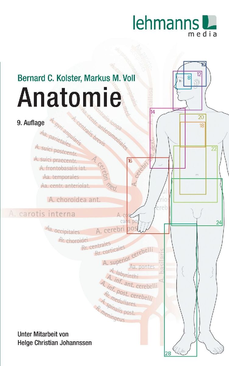 Anatomie