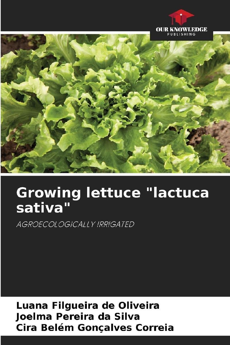 Growing lettuce "lactuca sativa"
