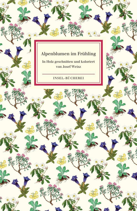Alpenblumen im Frühling