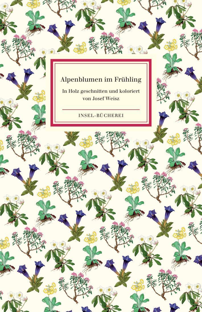 Alpenblumen im Frühling