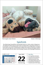 Hunde Tageskalender 2027 (Innenansicht)