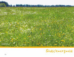 Wanderspaß mit Kindern - Schwarzwald