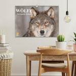 Wölfe. Verwegene Anmut (Wandkalender 2026 DIN A3 quer), CALVENDO Monatskalender