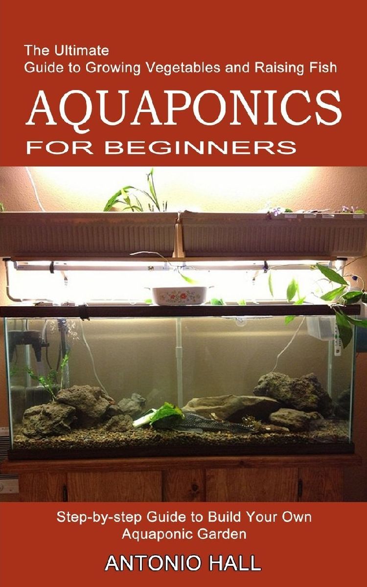 Aquaponics for Beginners