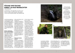 Tiere beobachten mit dem Wildtierguide