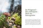 Die Magie des Waldes (Innenansicht)
