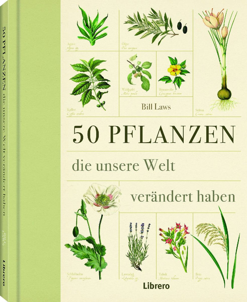 50 Pflanzen