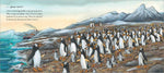 Jonty Gentoo - The Adventures of a Penguin (Innenansicht)
