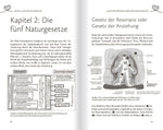 Fremdenergien (Innenansicht)