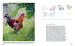 Alles Huhn (Innenansicht)