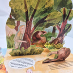 SCIENCE POPS: Jane Goodall