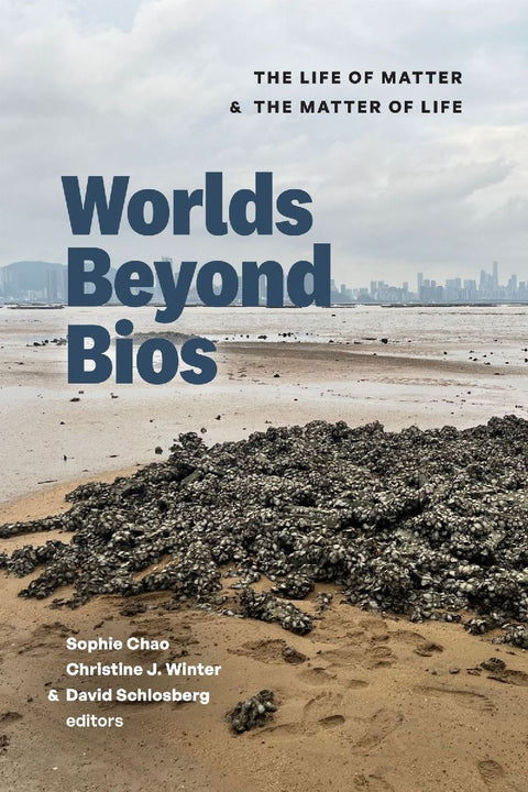 Worlds Beyond Bios
