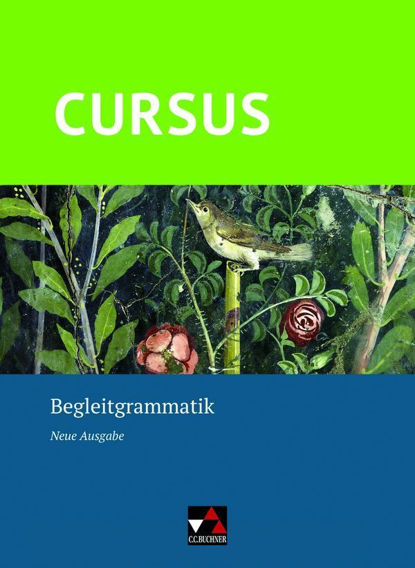 Cursus - Neue Ausgabe Begleitgrammatik
