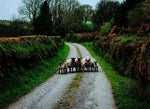 Roadtrips Irland (Innenansicht)