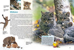 Entdecke heimische Wildtiere (Innenansicht)