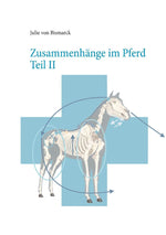 Zusammenhänge im Pferd Teil II