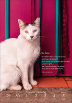 Literaturkalender Katzen Wochen-Kulturkalender 2027
