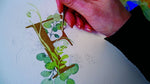 Monogramme in Aquarell (Innenansicht)