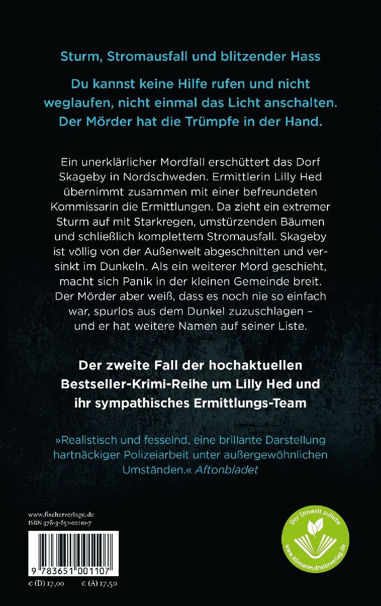 Im Sturm (Rückseite)