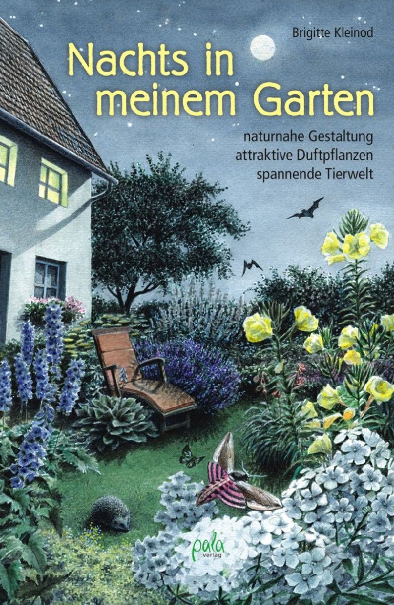 Nachts in meinem Garten