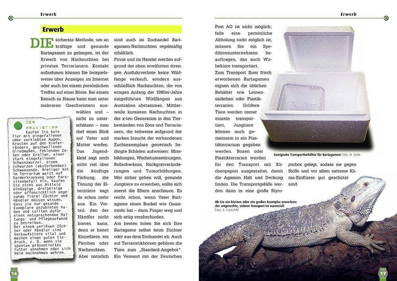 Die Bartagame (Innenansicht)
