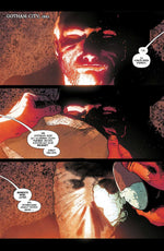 Batman und Robin (Innenansicht)