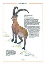 Steinbock, Adler, Edelweiß