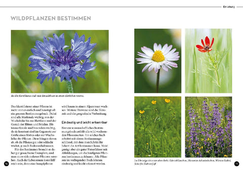 Lieblingsblumen