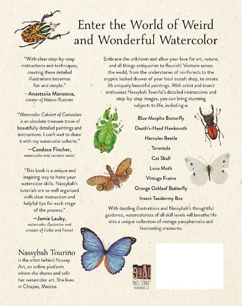 Watercolor Cabinet of Curiosities
