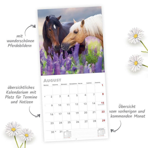 TRÖTSCH - Broschürenkalender Pferde 2027