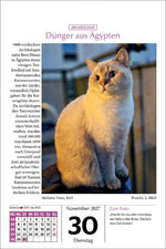 Katzen Tageskalender 2027 (Innenansicht)