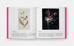 Butterfly: Exploring the World of Lepidoptera (2025)