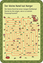 50 verflixte Labyrinthe (Innenansicht)