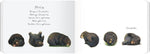 Tagebuch eines Wombat