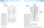 Das Lehrbuch der Anatomie (Innenansicht)