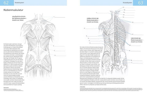 Das Lehrbuch der Anatomie