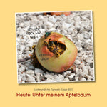 Im Garten! (Innenansicht)
