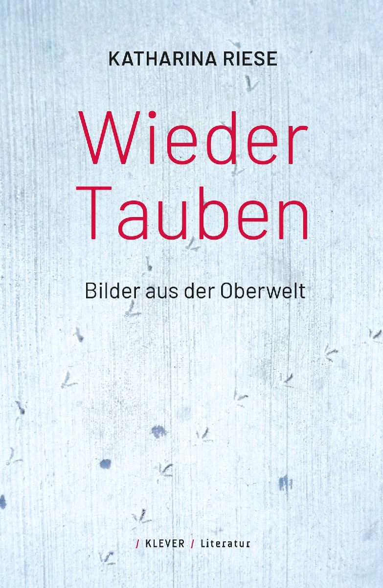 Wieder Tauben