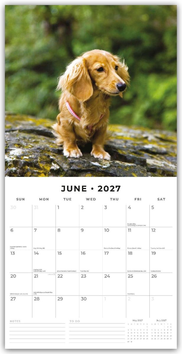 Long-Haired Dachshunds - Langhaardackel 2027 - 16-Monatskalender (Innenansicht)
