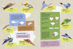 Papierflieger (Innenansicht)