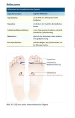 Fußreflexzonentherapie (Innenansicht)