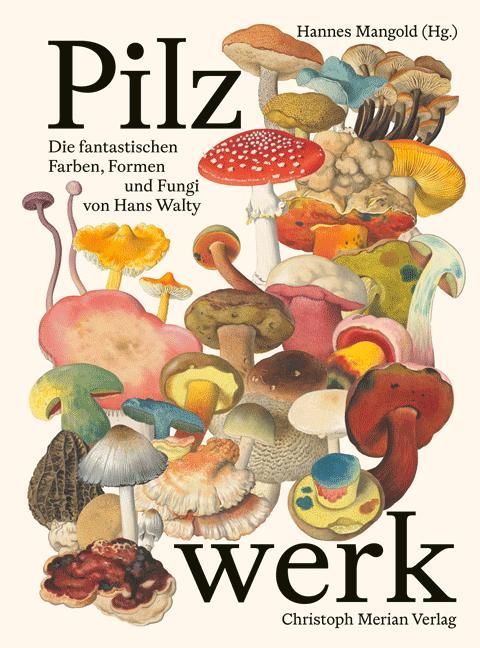 Pilzwerk