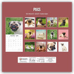 Pugs - Mops 2027 - 16-Monatskalender