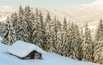 Mein Weihnachten (Innenansicht)