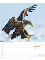 Vögel Wochenplaner Kalender 2027