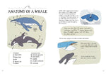 Ocean Anatomy (Innenansicht)