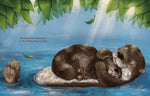 Die Koalas träumen hoch oben in den Bäumen (Innenansicht)